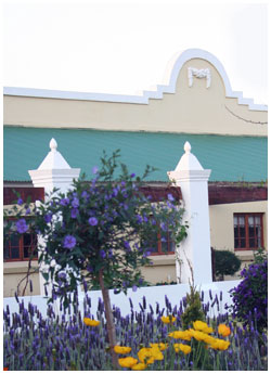 Vila la Pensionne Guest House Pillar