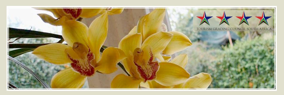 Villa la Pensionne Guesthouse near Rosslyn - Contact Us Banner