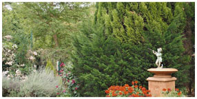 Villa la Pensionne Guest House Gallery - Garden