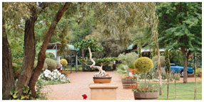 Villa la Pensionne Guest House Gallery - Garden