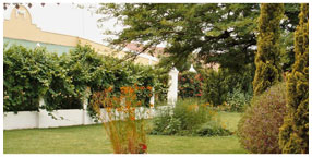 Villa la Pensionne Guest House Gallery - Garden