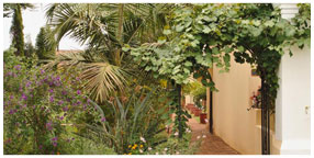 Villa la Pensionne Guest House Gallery - Garden