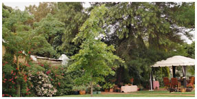 Villa la Pensionne Guest House Gallery - Garden