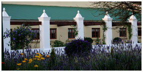 Villa la Pensionne Guest House Gallery - Garden